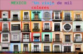 México un viaje de mil colores!!