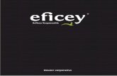 Dossier corporativo Eficey
