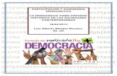 participacion y ciudadania democratica