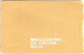 Moleskine de Color Beis - Fanzine 01
