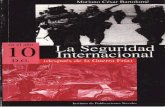 La Seguridad Internacional en el Año 10 DG (después de la Guerra Fría)