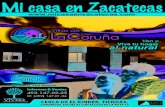Mi casa en Zacatecas - Enero