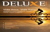 DELUXE Magazine - Edición Nº 17 Junio/Julio 2013