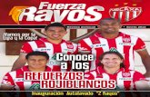 Revista Fuerza Rayos No.11 - enero 2013