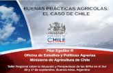 Buenas Prácticas Agrícolas (BPA) - El Caso de Chile