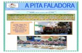 Pita Faladora 28