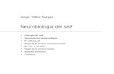 9 Neurobiologia del self