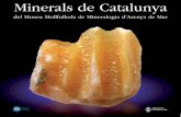 Minerals de Catalunya. Col·lecció del Museu Mollfulleda de Mineralogia