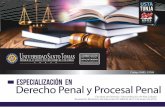 Especialización en Derecho Penal y Procesal Penal
