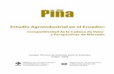 Piña. Estudio agroindustrial en el Ecuado