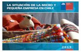 La Situación de la Micro y Pequeña Empresa en Chile