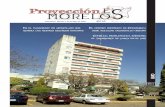 Proyecciones Morelos Num 08
