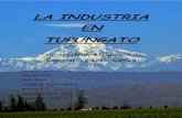 La industria en Tupungato