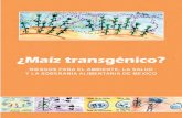 ¿Maíz Transgénico? Riesgos para el ambiente, la salud y la soberania alimentaria de México