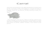 Manoel Castro escribe sobre Carral