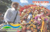 DESTINOS SIN FRONTERAS - Mayoristas de Turismo - Feria de las Flores