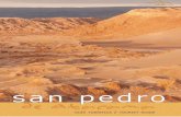 La guia de San Pedro de Atacama nº8
