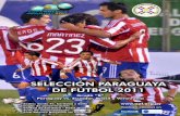 Paraguay Copa America 2011