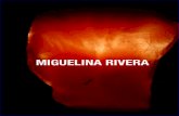 Miguelina Rivera