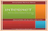 Manual internet