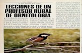 Fauna Iberica 10.Lecciones de un profesor rural de ornitologia.Blanco y Negro.10.06.1967