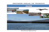 Informe 2008