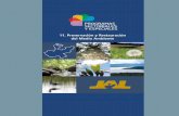 Programas sectoriales y especiales en la preservación y restauración del medio ambiente.