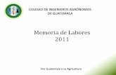 Memoria de Labores CIAG 2011