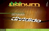 Revista LIGNUM 2012 | N° 133