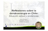 Reflexiones sobre la dendroenergía en Chile: Situación actual y tendencias