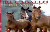 Revista El Caballo Español 2011, n.202 (ENGLISH)