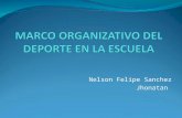 EXPOSICIÓN MARCO ORGANIZATIVO DEL DEPORTE EN LA ESCUELA