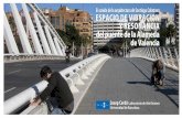 Grabació del Pont de la Alameda, Valencia
