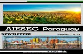 Newsllter - AIESEC Paraguay. Febrero 2013