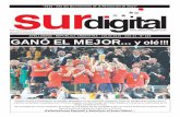Diario Sur Digital - Julio 2010