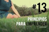13 PRINCIPIOS PARA EMPRENDER