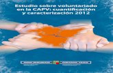 Estudio sobre el voluntariado en la CAPV: cuantificación y caracterización
