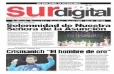 Diario Sur digital