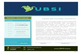 Boletín UBSI