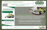 Revista Verde Oliva