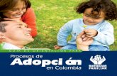 Guia de orientación para procesos de adopción en Colombia