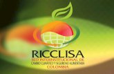 Programa RICCLISA presentación - CIAT  Junio 2014