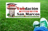 Brochure Fundacion Amparo de Niños San Marcos