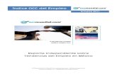 Indice OCC del Empleo - Octubre 2011