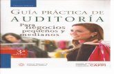 Guía Práctica de Auditoría para Negocios Pequeños y Medianos.