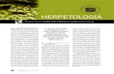 Informe Herpetologia 2010