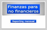 01 Finanzas Reporting