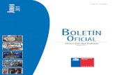 Boletín Oficial Junio 2011