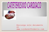 cateterismo cardiaco,