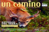 Revista Un Camino, edición 11